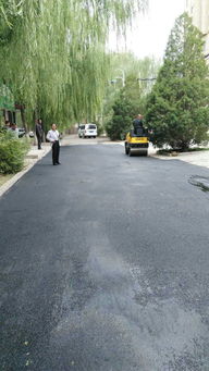 市政工程管理處 集中養(yǎng)護，筑牢城市運行基石