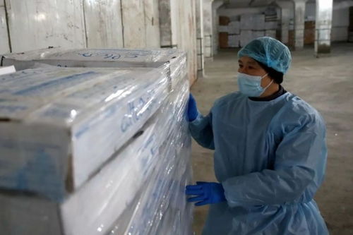 直擊上海冷庫第一線 進口冷鏈食品還能吃嗎？張文宏這樣建議
