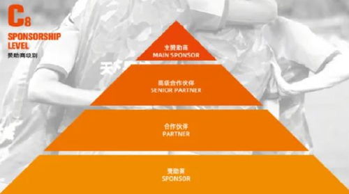 山東泰山開放冠名權招商，開啟品牌合作新篇章